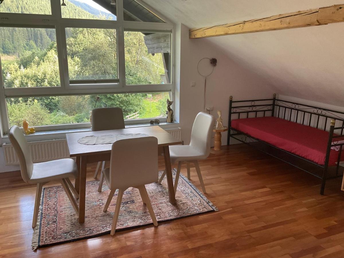 Ferienwohnung Dallinger Radmer an der Stube Exteriör bild